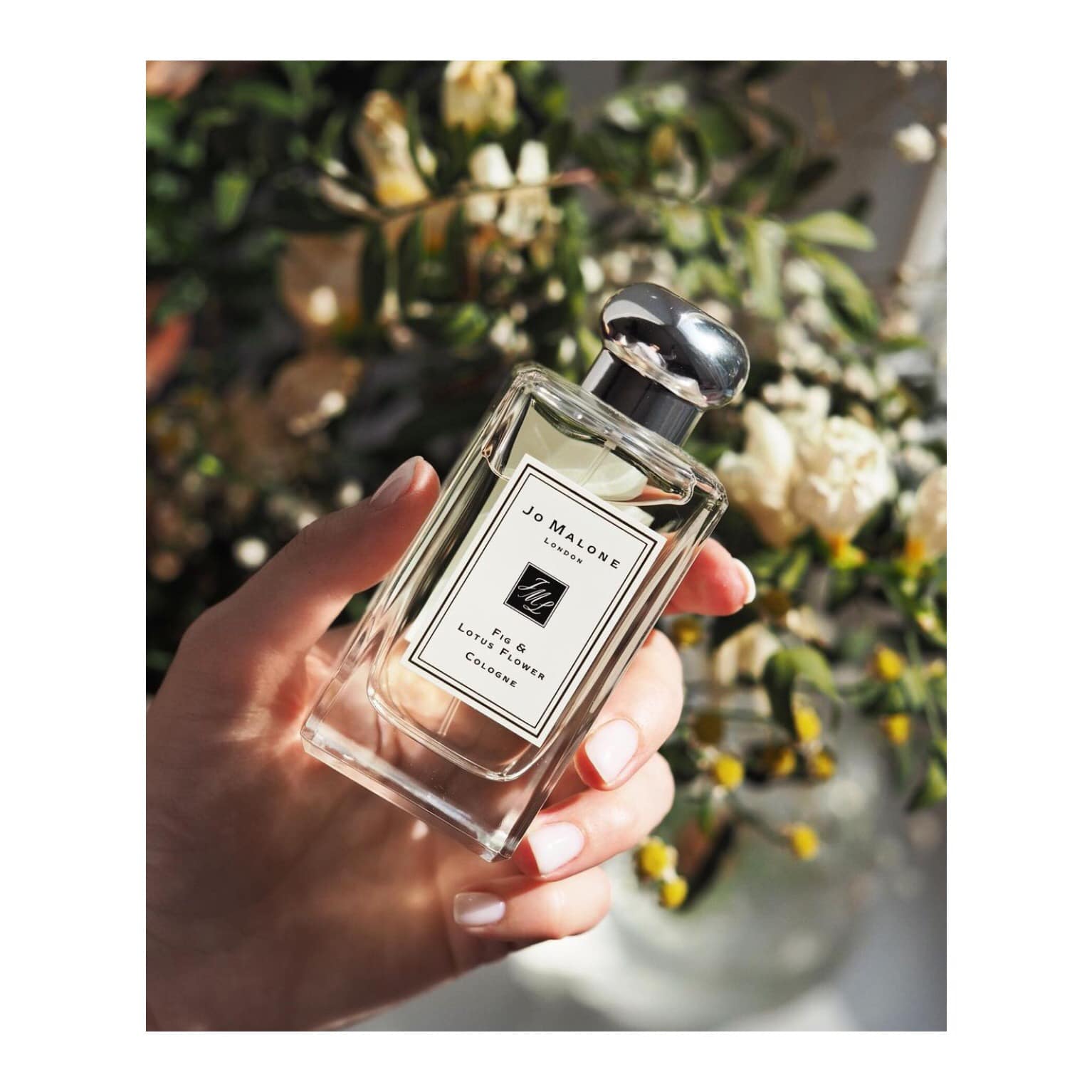Jo Malone London Fig and Lotus Flower